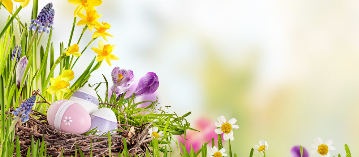 Pranzo di Pasqua 2019 al Ristorante Cellini di Moimacco